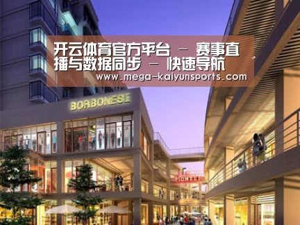 案例展示一(图1)