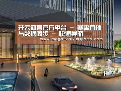 案例展示二