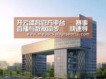 案例展示四
