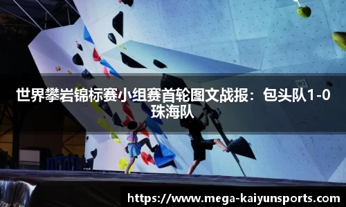 开云官方网站