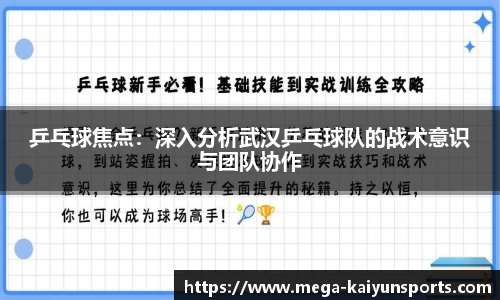 开云官方网站