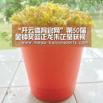 开云官方网站