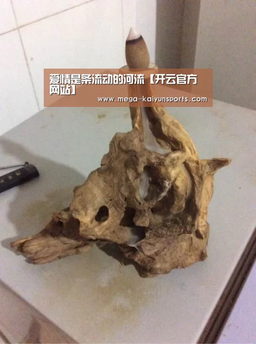 开云体育官网