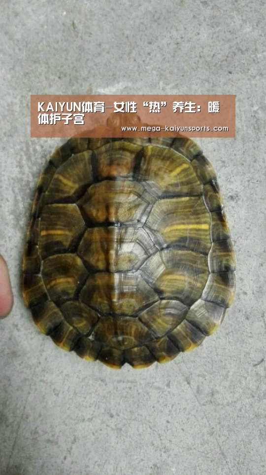 KAIYUN体育-女性“热”养生:暖体护子宫(图1) 开云官方网站