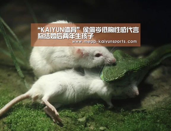 开云体育官方入口